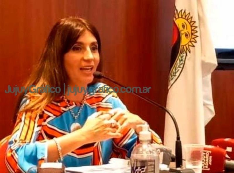 Proponen crear una sociedad estatal que regule el transporte urbano 2 Mariela Ferreyra